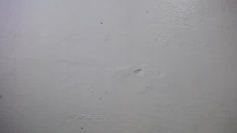 lisa_branch online show from October 4, 2025, 10:24 am