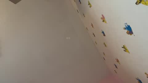 Snapshot of lisi_kiss_ chatting on July 30, 2026, 4:17 pm Aurora online show from July 30, 2026, 4:17 pm