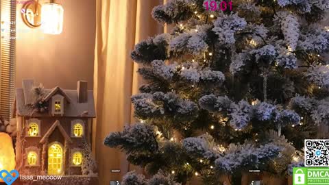 your Liza again. Next stream Dec. 1  at 2 or 3  GMT online show from January 19, 2025, 9:22 am