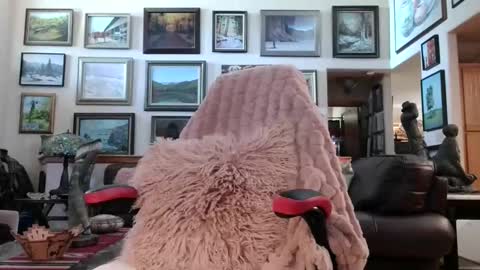 Miss D   Shows Mon Wed  Fri online show from May 18, 2026, 6:36 pm