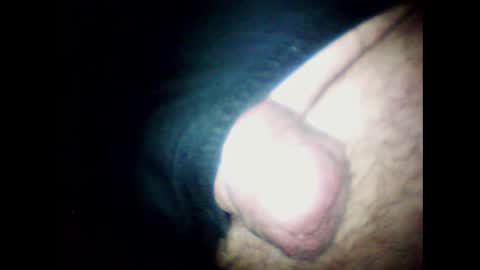 Snapshot of littlestick chatting on January 20, 2025, 9:13 am littlestick online show from January 20, 2025, 9:13 am