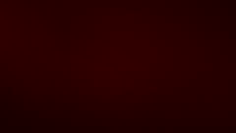 Little Tj online show from April 9, 2026, 8:42 am