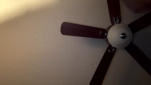 Snapshot of live_42dayonly chatting on August 2, 2026, 8:46 am selffuck online show from August 2, 2026, 8:46 am