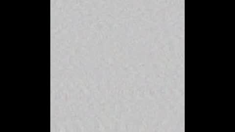 Liz  online show from January 15, 2025, 9:45 am