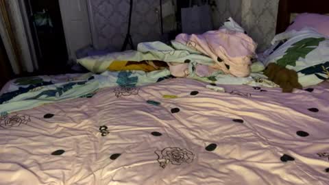 Snapshot of llevella chatting on July 16, 2026, 5:08 pm Sevy online show from July 16, 2026, 5:08 pm