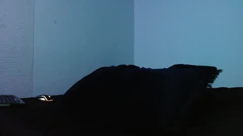 lliamm 2 online show from September 27, 2025, 5:23 am