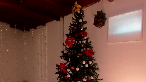 Snapshot of lola_cocks chatting on December 6, 2024, 7:56 pm mara online show from December 6, 2024, 7:56 pm