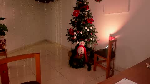 Snapshot of lola_cocks chatting on December 15, 2024, 11:31 pm mara online show from December 15, 2024, 11:31 pm