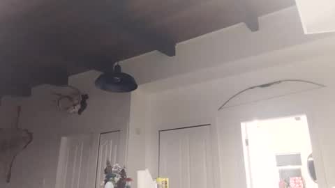 Snapshot of lolalixx6969 chatting on November 18, 2025, 2:10 pm Lola Lixx online show from November 18, 2025, 2:10 pm