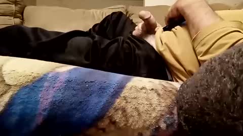 looking4bush online show from November 12, 2025, 4:46 am