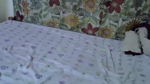 Snapshot of lora_amor chatting on April 30, 2026, 9:26 am lora_amor online show from April 30, 2026, 9:26 am