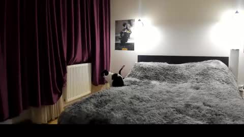 Lora online show from February 21, 2025, 5:53 pm