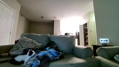 LosRompeCamera online show from November 17, 2025, 6:30 am