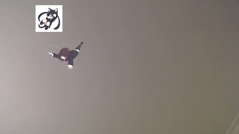 nefisa nef online show from March 2, 2025, 12:31 am