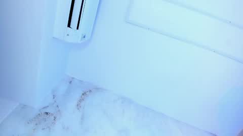 Snapshot of lotti_carter chatting on May 24, 2026, 12:15 am Lotti online show from May 24, 2026, 12:15 am