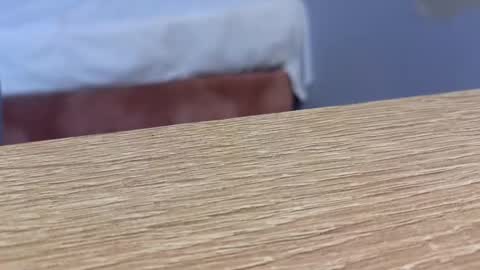  Lou Rosse  online show from January 22, 2025, 8:49 pm