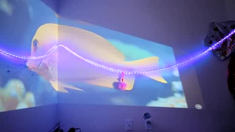 lovecandycunt143 online show from September 25, 2025, 8:23 pm