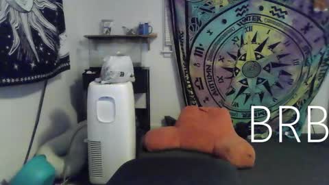 Bigtitsgirl113 online show from January 18, 2025, 12:46 am