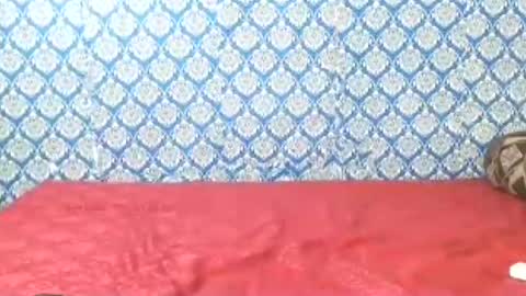 Divya online show from July 22, 2026, 12:35 am