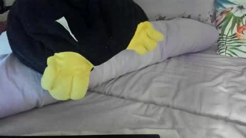 Snapshot of lovelywoman23 chatting on November 17, 2025, 6:24 pm lovelywoman23 online show from November 17, 2025, 6:24 pm