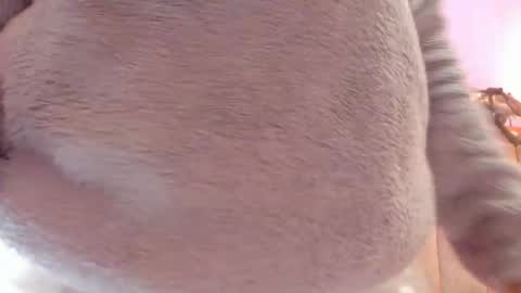 L O V E  online show from October 29, 2025, 11:56 am