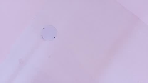 L O V E  online show from March 11, 2026, 11:38 am