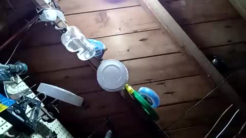 Snapshot of lowtidehightide chatting on November 25, 2025, 4:51 pm lowtidehightide online show from November 25, 2025, 4:51 pm