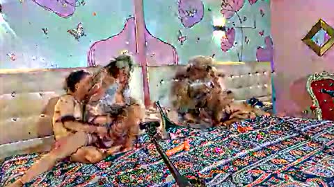 Snapshot of lu_pink chatting on October 4, 2025, 2:37 pm lu_pink online show from October 4, 2025, 2:37 pm