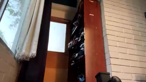 Snapshot of luchosaando chatting on December 22, 2024, 11:52 pm Felipe online show from December 22, 2024, 11:52 pm