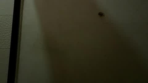 Snapshot of luci_ramirez chatting on May 9, 2026, 9:42 pm Luciana Ramirez Sofia Collins online show from May 9, 2026, 9:42 pm