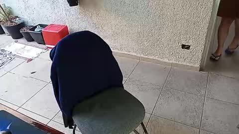 Snapshot of lucifer_curious chatting on October 24, 2025, 9:49 am lucifer_curious online show from October 24, 2025, 9:49 am