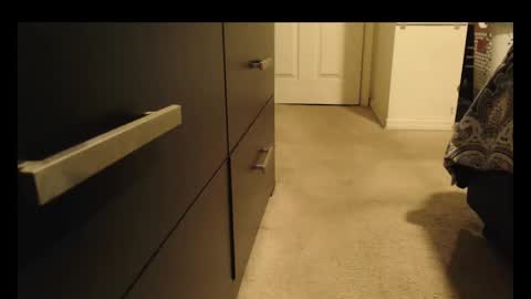 LUGO online show from October 8, 2025, 5:27 am