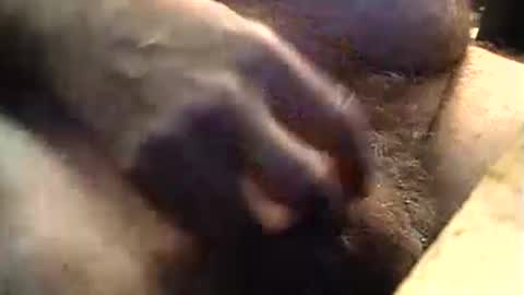 lukestarfckr online show from September 11, 2025, 9:20 am