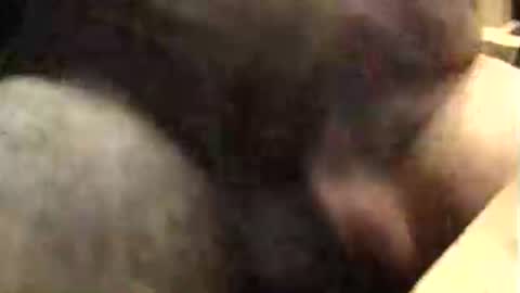 lukestarfckr online show from October 9, 2025, 9:40 am