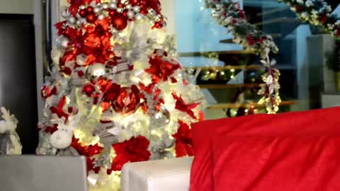 Lukhas f4f online show from December 6, 2024, 1:18 am