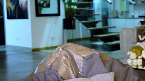 Lukhas f4f online show from February 9, 2025, 3:22 am