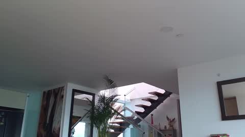 Lukhas f4f online show from February 12, 2025, 8:07 pm