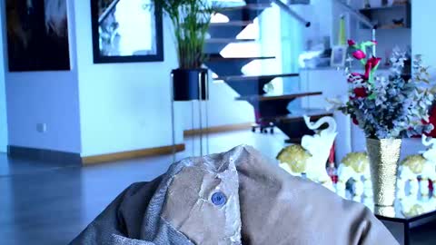 Lukhas f4f online show from February 26, 2025, 3:41 pm