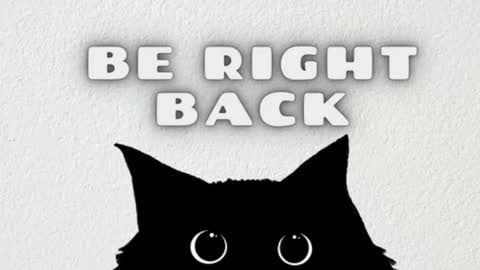 elizabeth online show from April 14, 2026, 11:55 pm