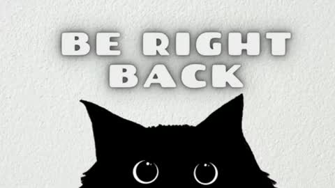 elizabeth online show from May 12, 2026, 11:57 pm