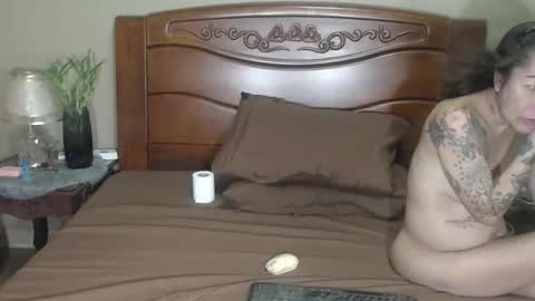 lulu_wild online show from April 1, 2026, 11:44 am