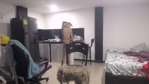 Snapshot of luna_rosita chatting on March 7, 2025, 7:05 pm Luna online show from March 7, 2025, 7:05 pm