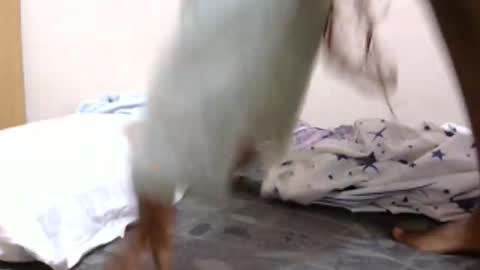 Snapshot of lunargoddess45 chatting on March 3, 2026, 3:12 am lunargoddess45 online show from March 3, 2026, 3:12 am