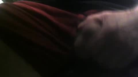 Snapshot of lunatica12 chatting on February 23, 2025, 6:17 am lunatica12 online show from February 23, 2025, 6:17 am