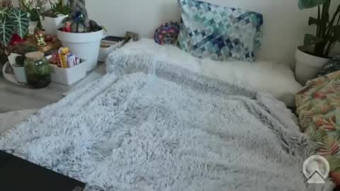 lustlnbalancevh online show from January 19, 2026, 7:56 am