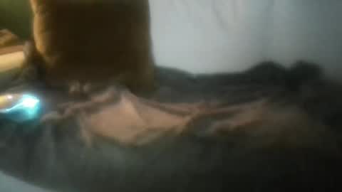 Snapshot of luvbigtits271 chatting on January 1, 2025, 6:26 am luvbigtits271 online show from January 1, 2025, 6:26 am