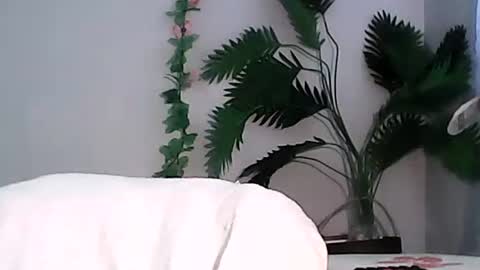 Bee Bee online show from September 13, 2025, 5:40 am