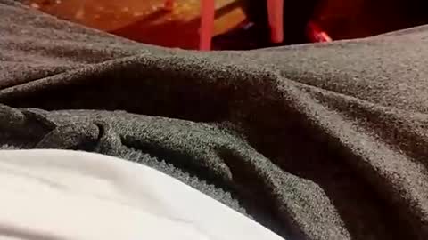 Snapshot of lvacd11 chatting on December 21, 2024, 10:30 pm Lvac11 online show from December 21, 2024, 10:30 pm