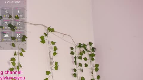 Lyly   online show from October 10, 2025, 5:28 am