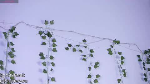 Lyly   online show from November 13, 2025, 5:39 am